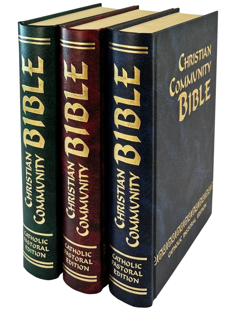 Biblia Latinoamérica | 9788428520492